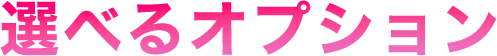 選べるオプション